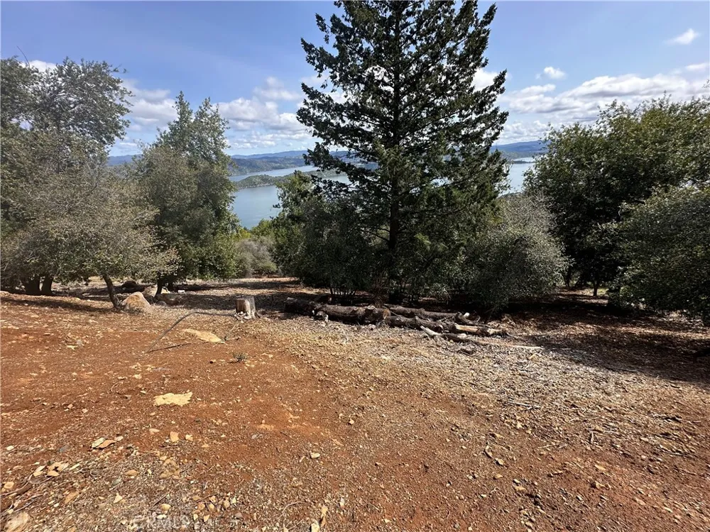 8164 Broadview Drive Kelseyville, CA 95451