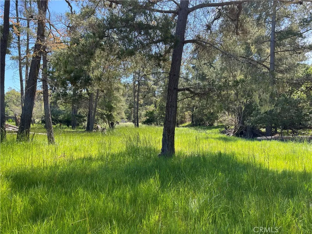 Kenneth Drive Cambria, CA 93428