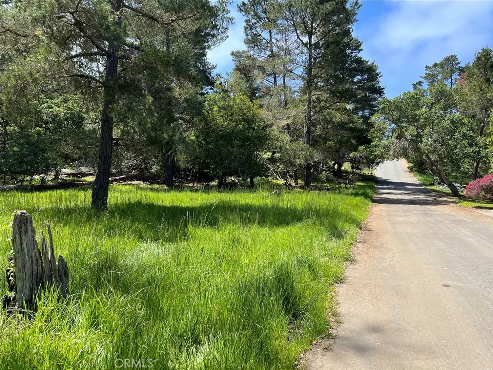 Kenneth Drive Cambria, CA 93428