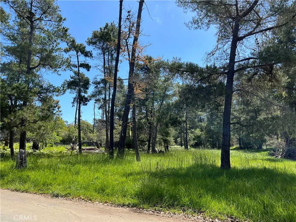 Kenneth Drive Cambria, CA 93428