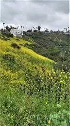 El Levante San Clemente, CA 92672