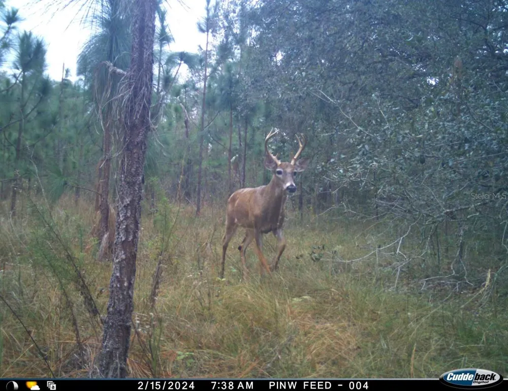 01 UNNAMED Spring Hill, FL 34610