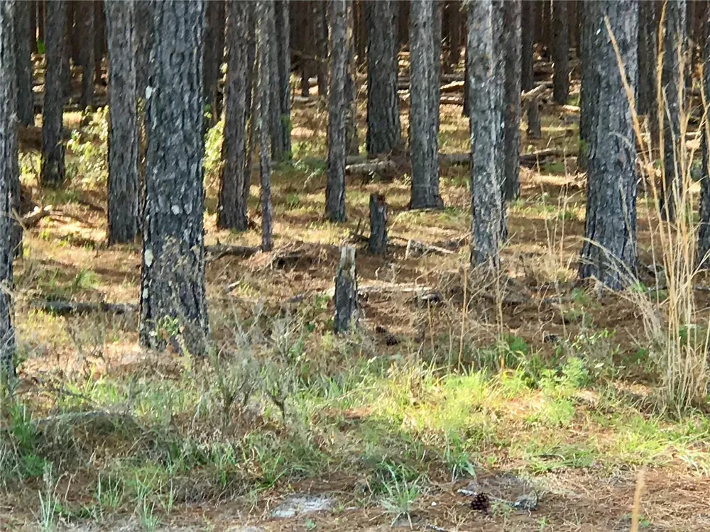 01 UNNAMED Spring Hill, FL 34610