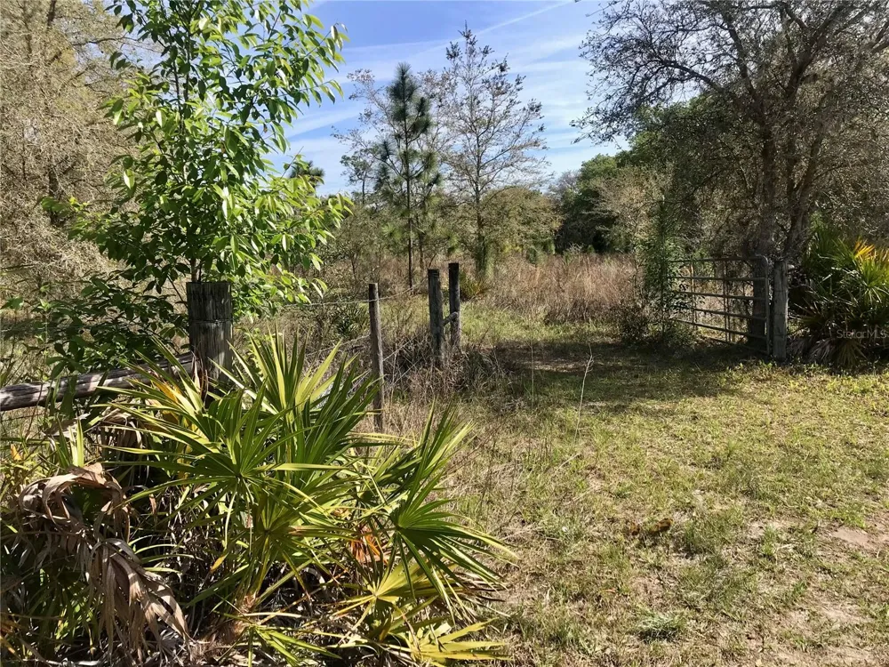 01 UNNAMED Spring Hill, FL 34610