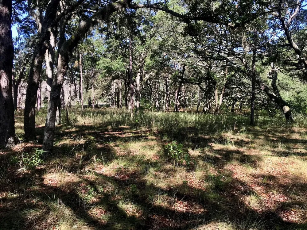01 UNNAMED Spring Hill, FL 34610