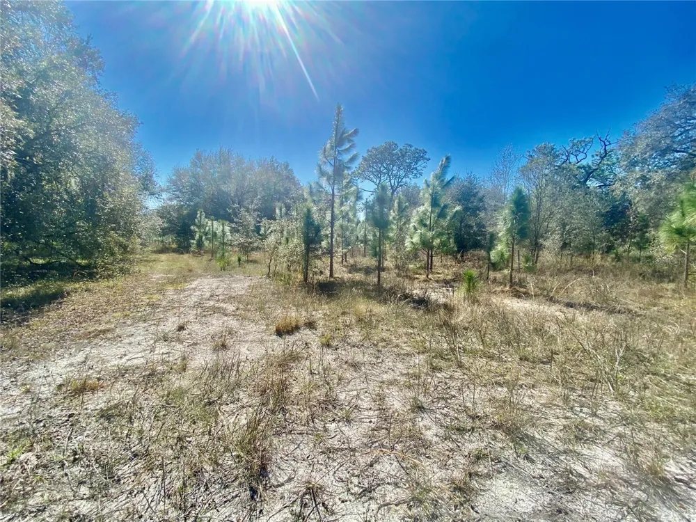 01 UNNAMED Spring Hill, FL 34610