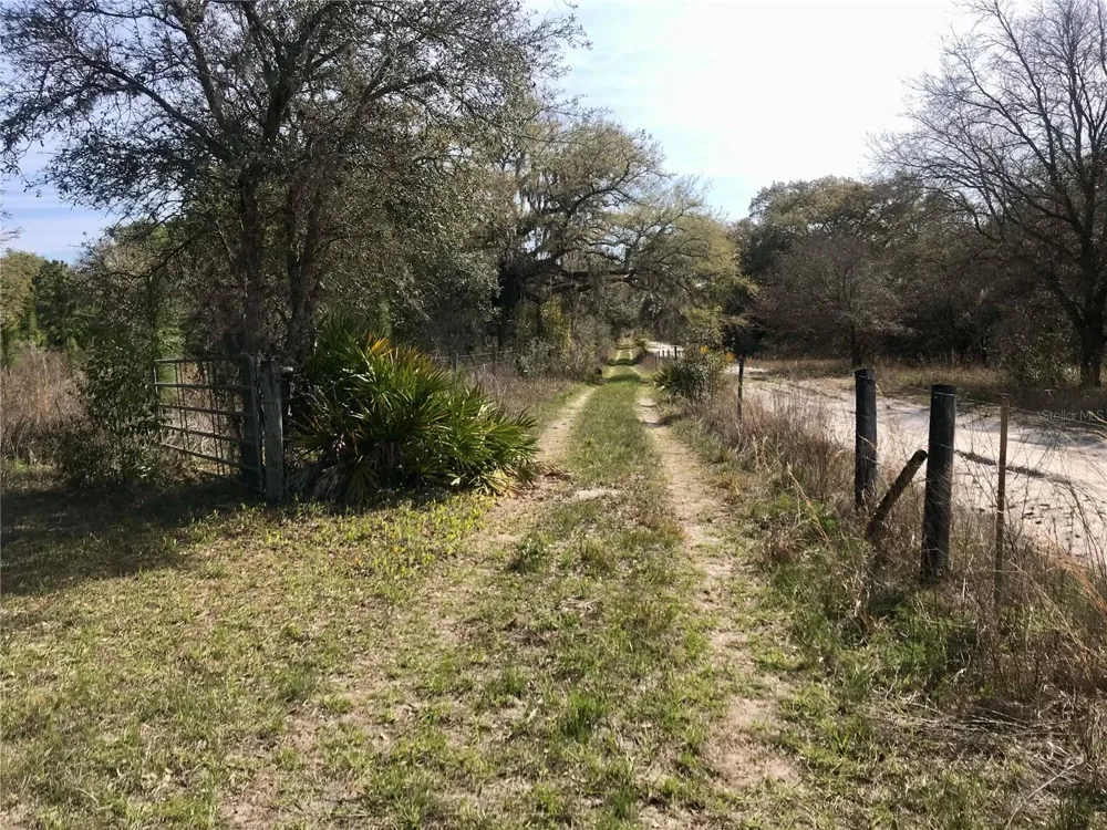 01 UNNAMED Spring Hill, FL 34610