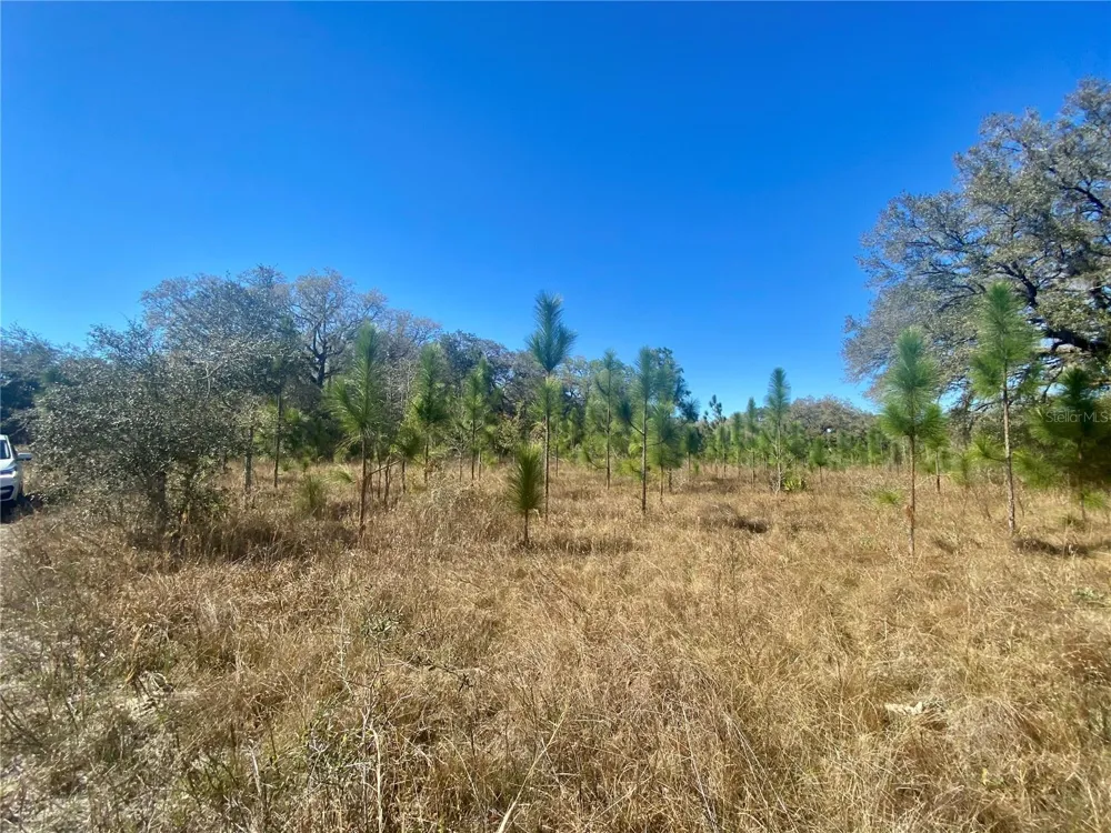 01 UNNAMED Spring Hill, FL 34610