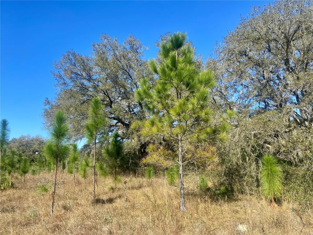 01 UNNAMED Spring Hill, FL 34610