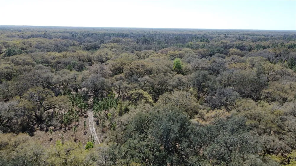 01 UNNAMED Spring Hill, FL 34610