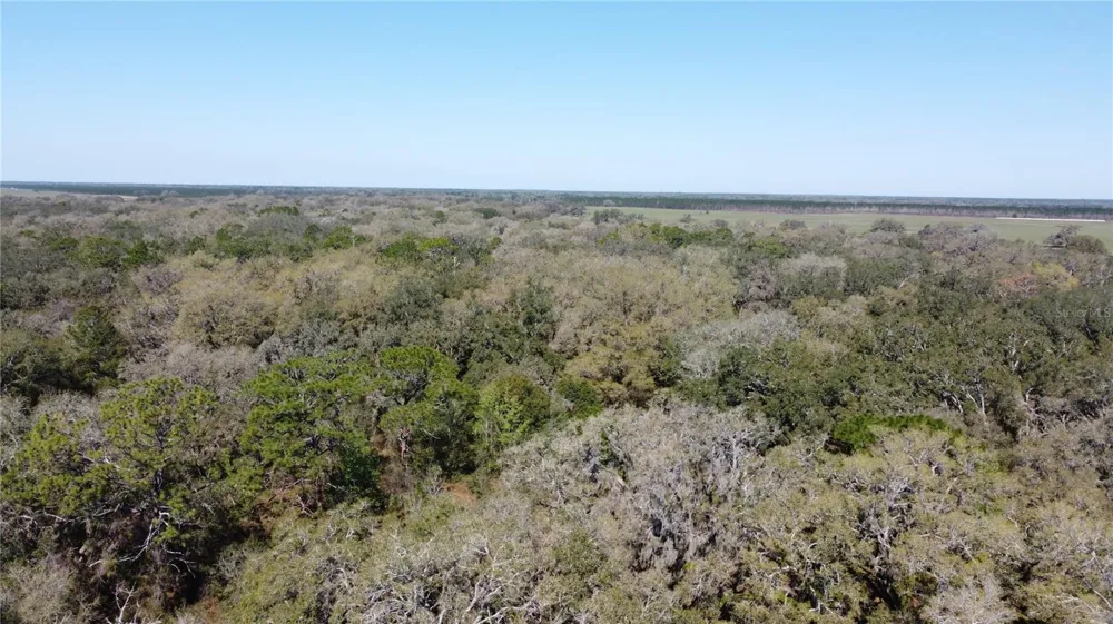 01 UNNAMED Spring Hill, FL 34610