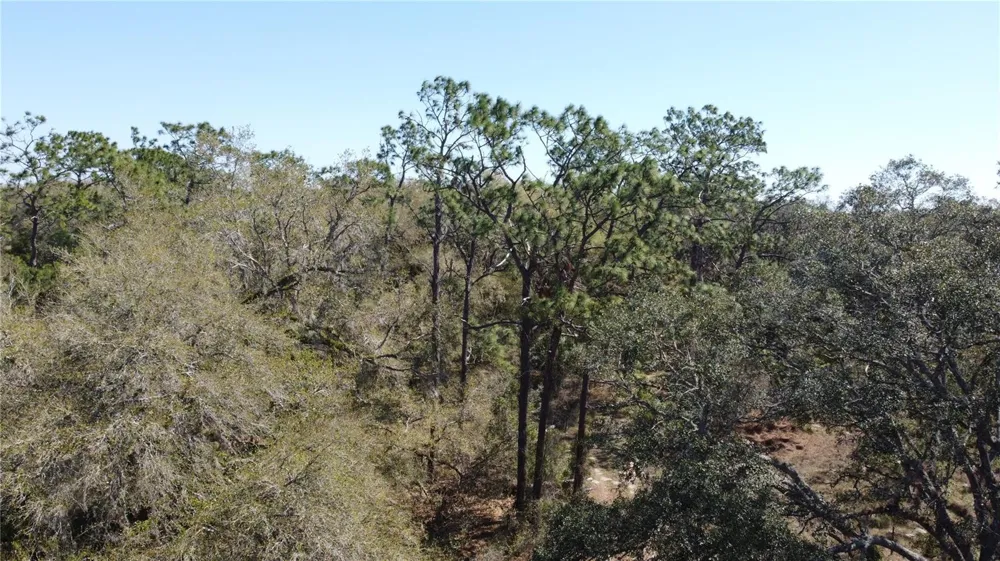 01 UNNAMED Spring Hill, FL 34610
