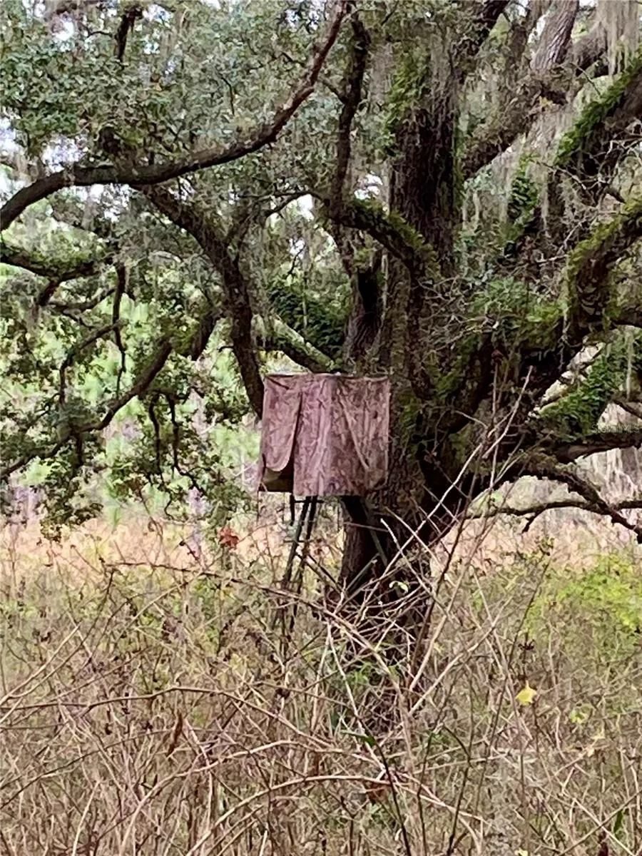 01 UNNAMED Spring Hill, FL 34610
