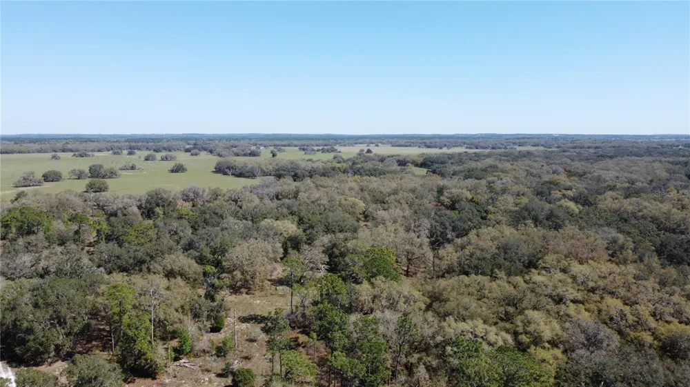 01 UNNAMED Spring Hill, FL 34610