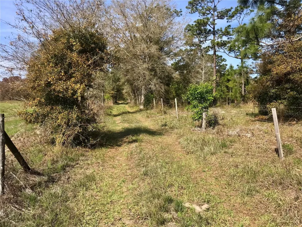 01 UNNAMED Spring Hill, FL 34610