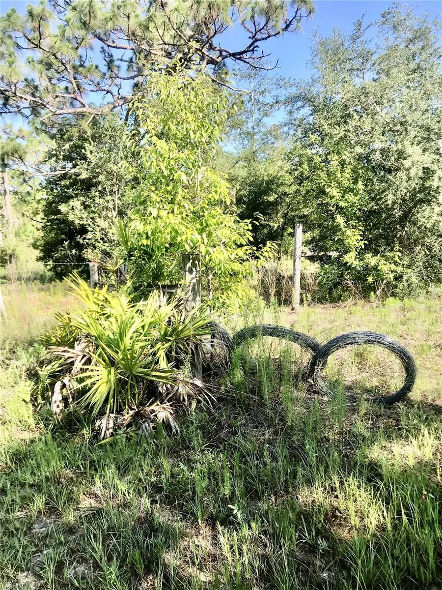 01 UNNAMED Spring Hill, FL 34610