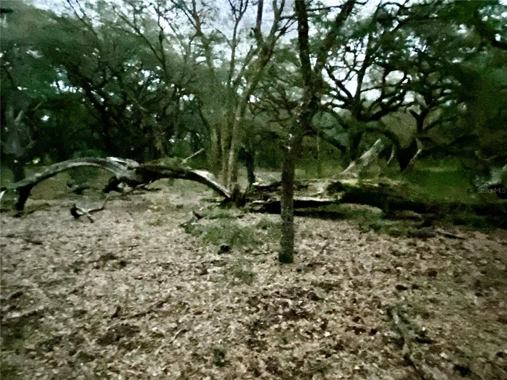 01 UNNAMED Spring Hill, FL 34610