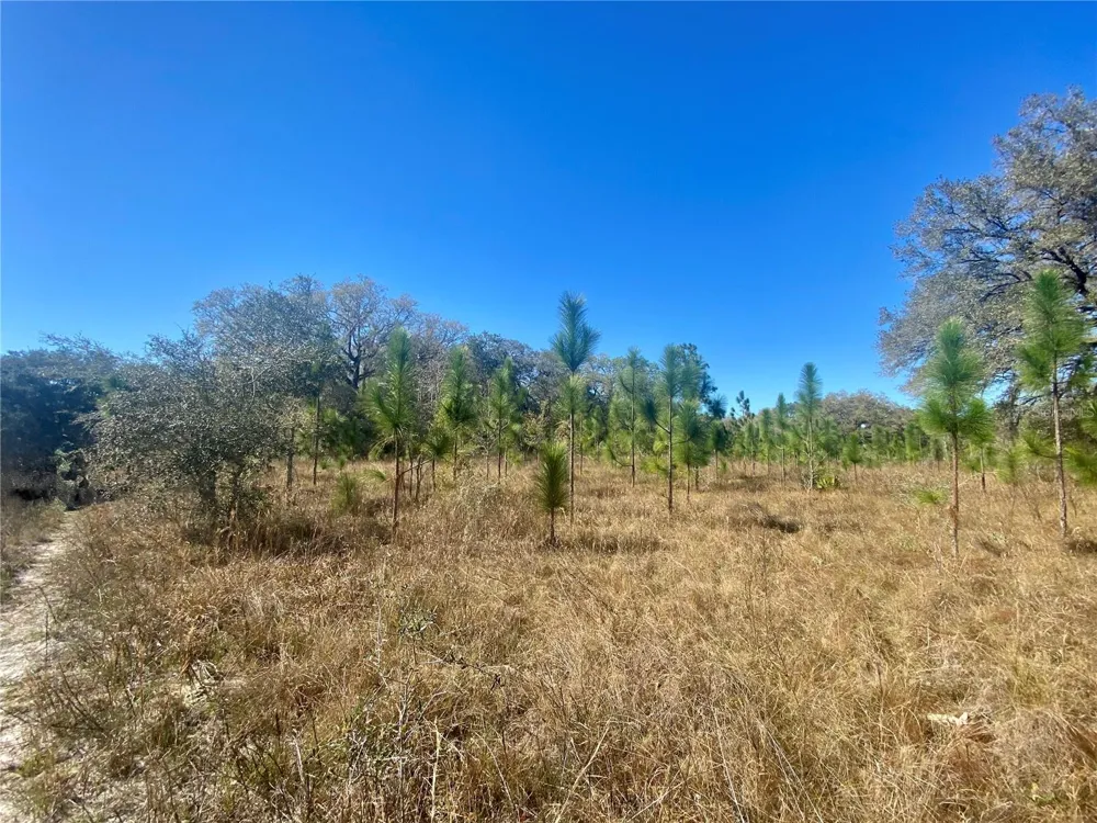 01 UNNAMED Spring Hill, FL 34610