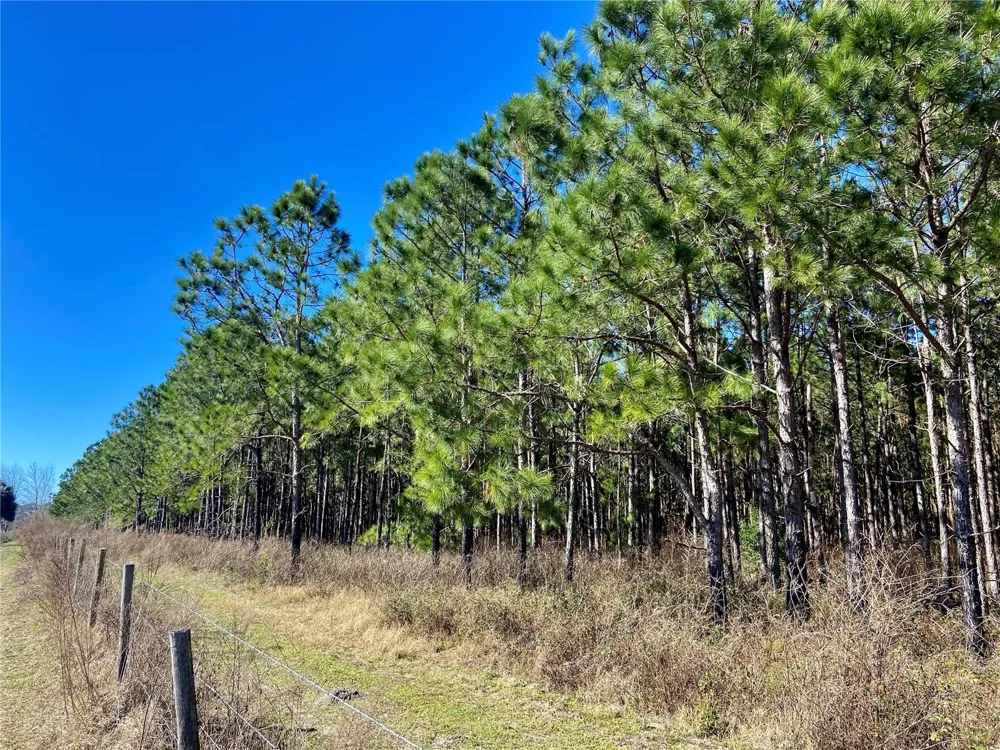 01 UNNAMED Spring Hill, FL 34610