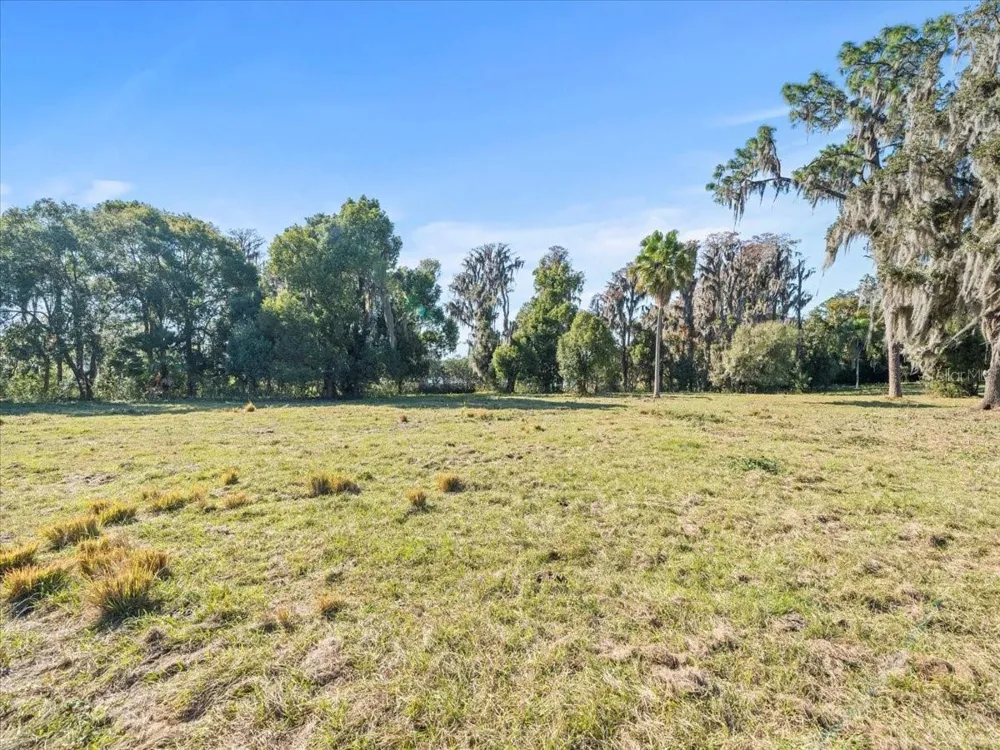 BOY SCOUT ROAD Odessa, FL 33556