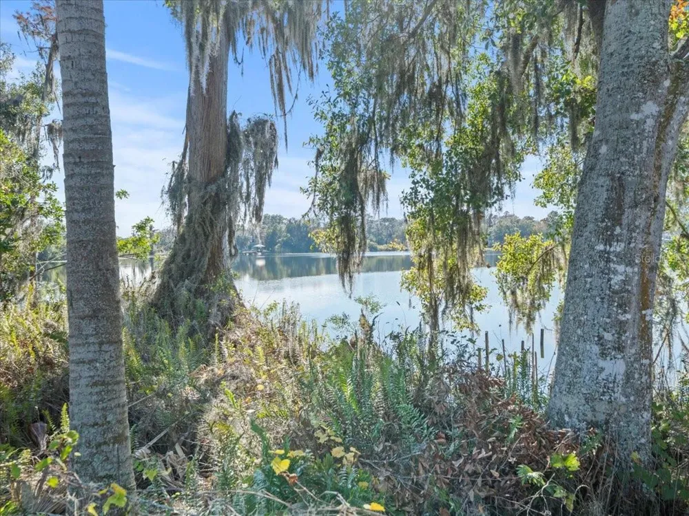 BOY SCOUT ROAD Odessa, FL 33556