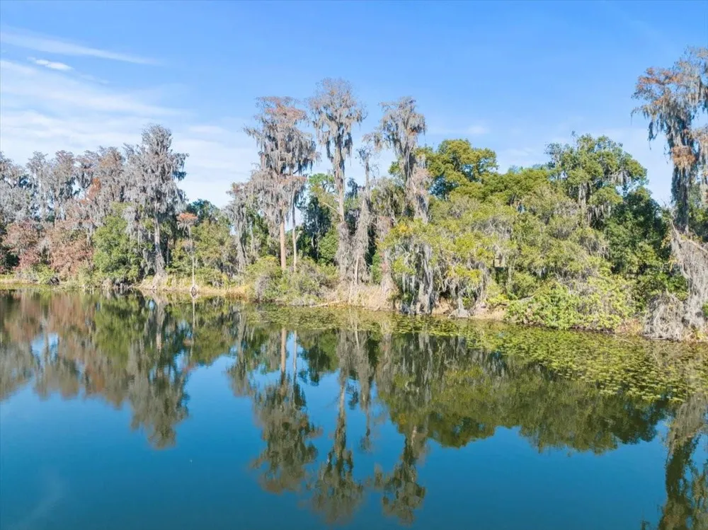 BOY SCOUT ROAD Odessa, FL 33556