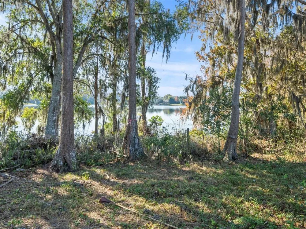 BOY SCOUT ROAD Odessa, FL 33556