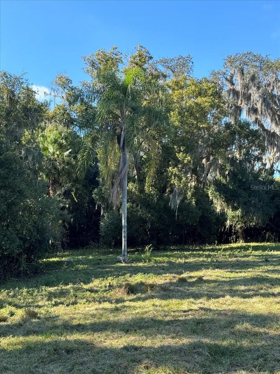 BOY SCOUT ROAD Odessa, FL 33556