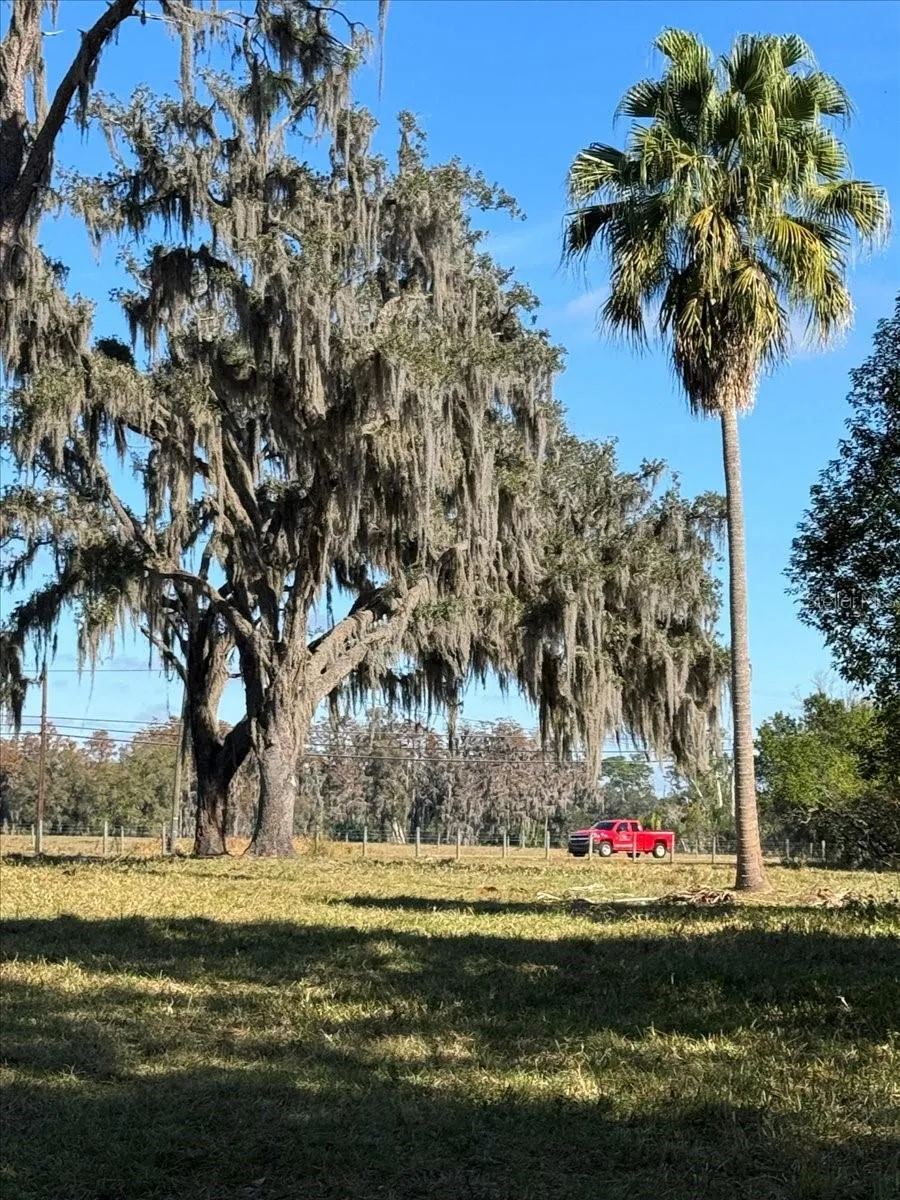 BOY SCOUT ROAD Odessa, FL 33556