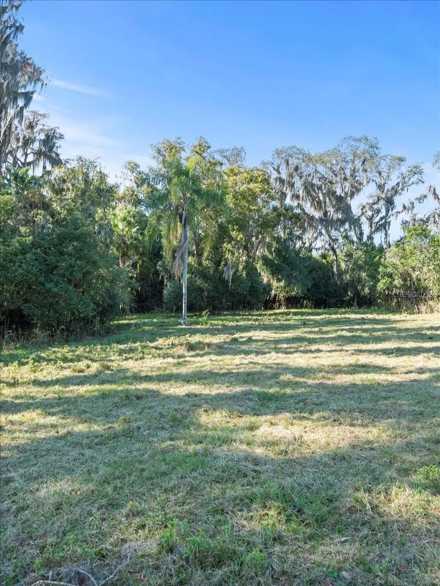 BOY SCOUT ROAD Odessa, FL 33556