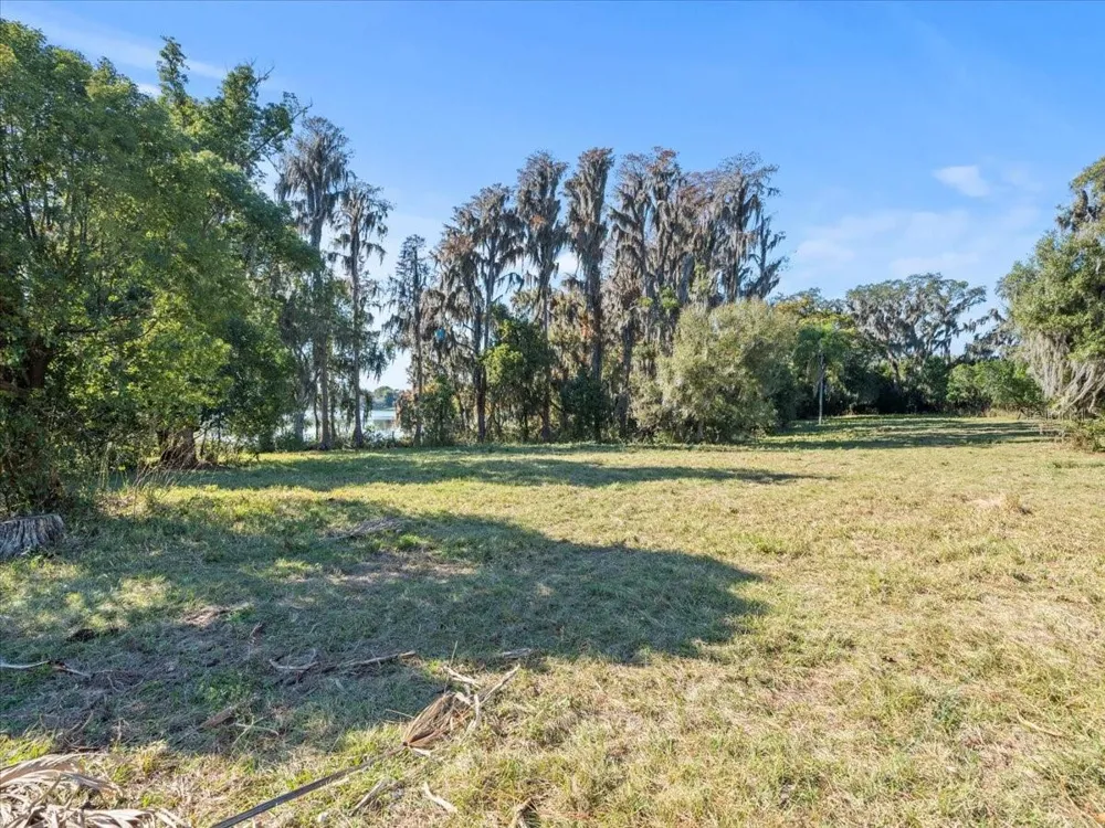BOY SCOUT ROAD Odessa, FL 33556