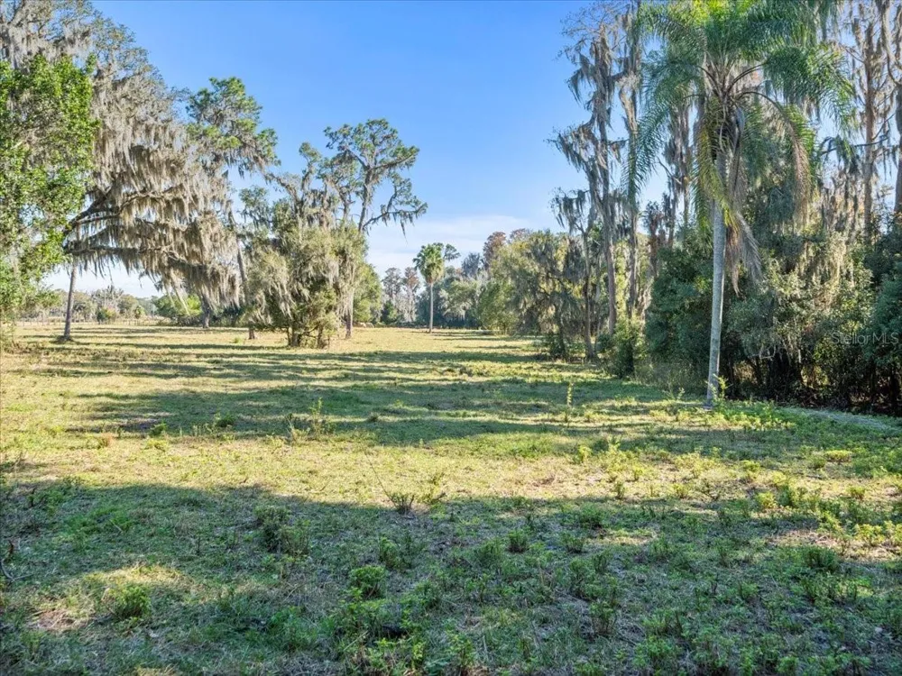 BOY SCOUT ROAD Odessa, FL 33556