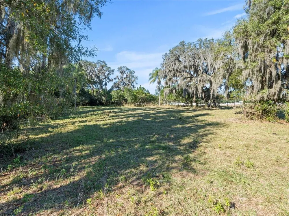 BOY SCOUT ROAD Odessa, FL 33556