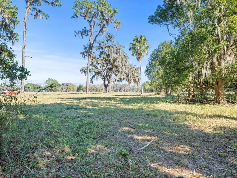 BOY SCOUT ROAD Odessa, FL 33556