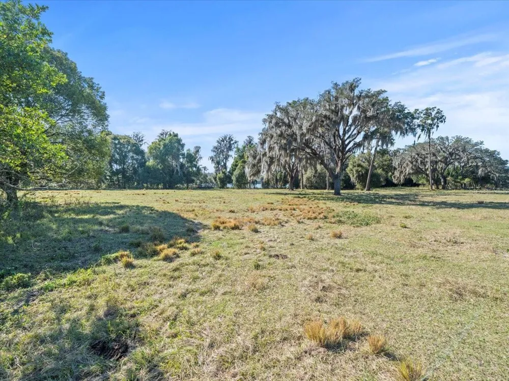 BOY SCOUT ROAD Odessa, FL 33556