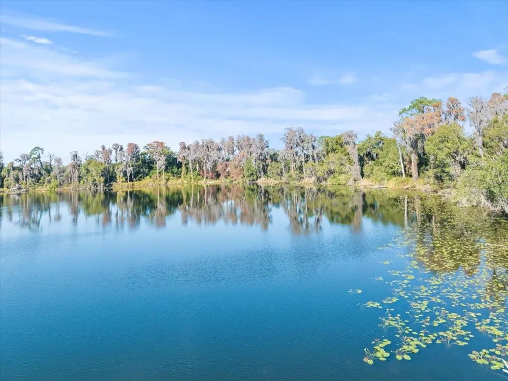 BOY SCOUT ROAD Odessa, FL 33556
