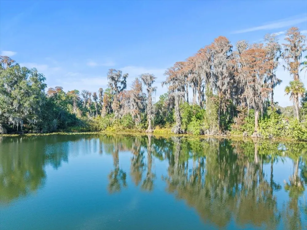 BOY SCOUT ROAD Odessa, FL 33556