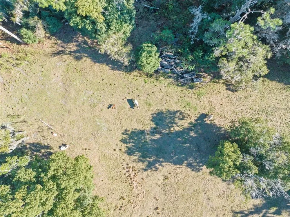 BOY SCOUT ROAD Odessa, FL 33556