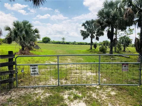 Williams Drive