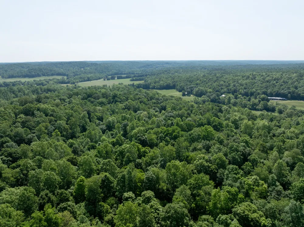 0 Highway 49 Erin, TN 37061