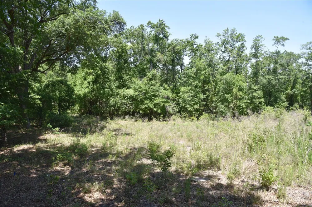 21312 NE 69TH PLACE Melrose, FL 32666