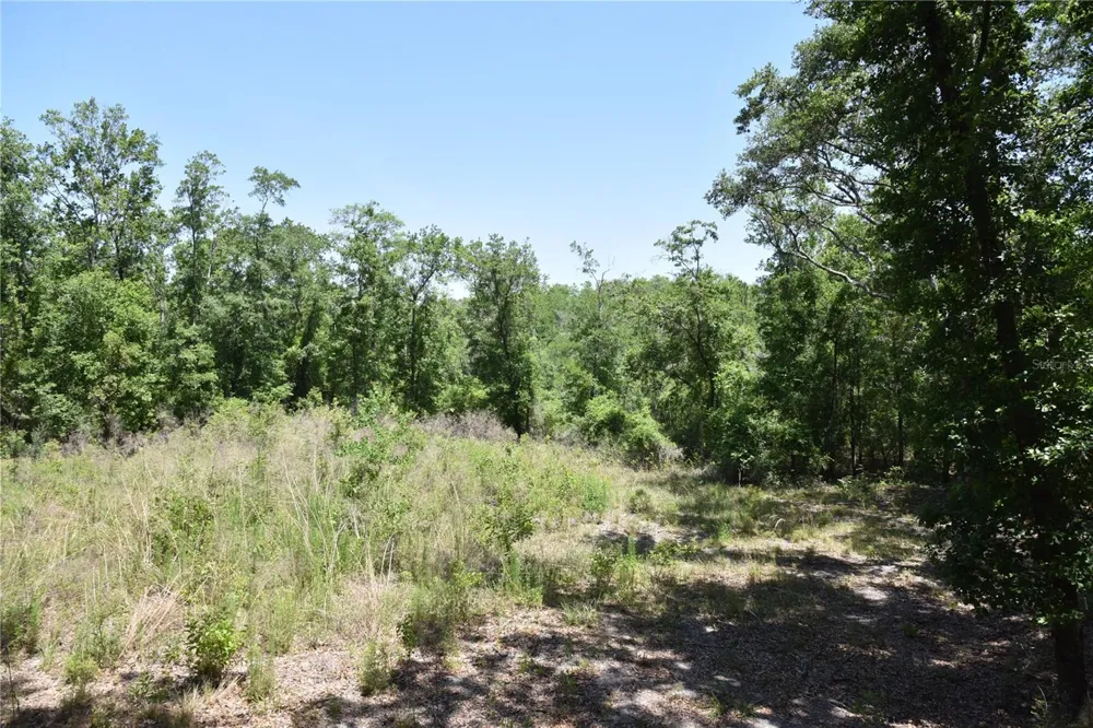 21312 NE 69TH PLACE Melrose, FL 32666