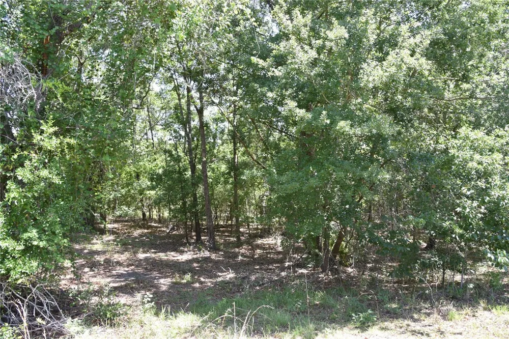 21312 NE 69TH PLACE Melrose, FL 32666