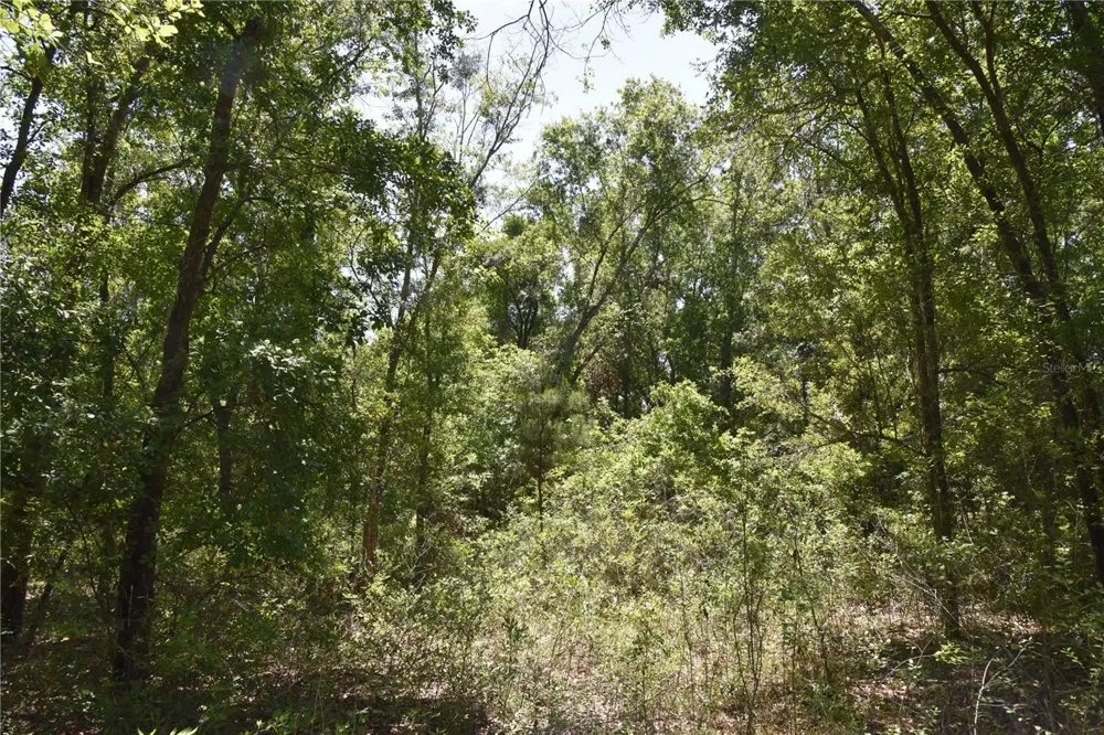 21312 NE 69TH PLACE Melrose, FL 32666