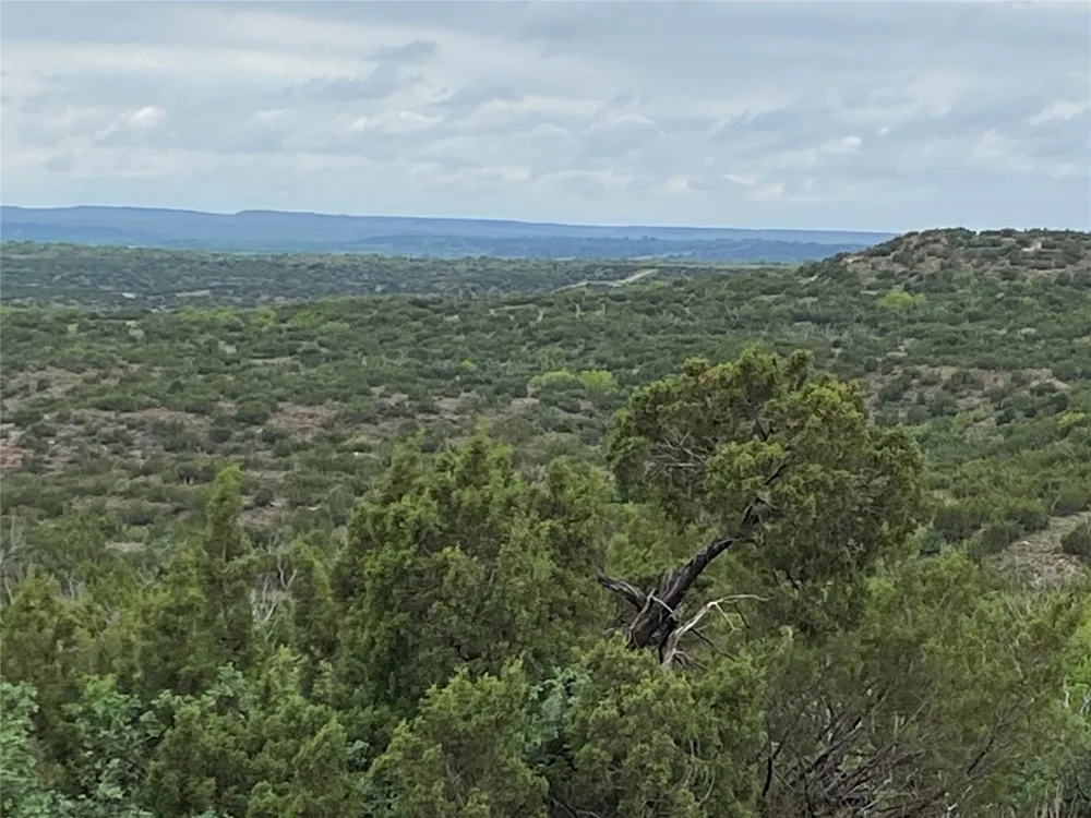 906 CR 235 Aspermont, TX 79502