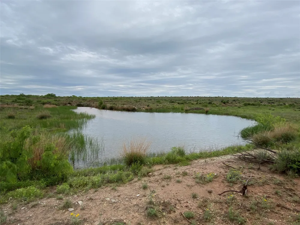906 CR 235 Aspermont, TX 79502