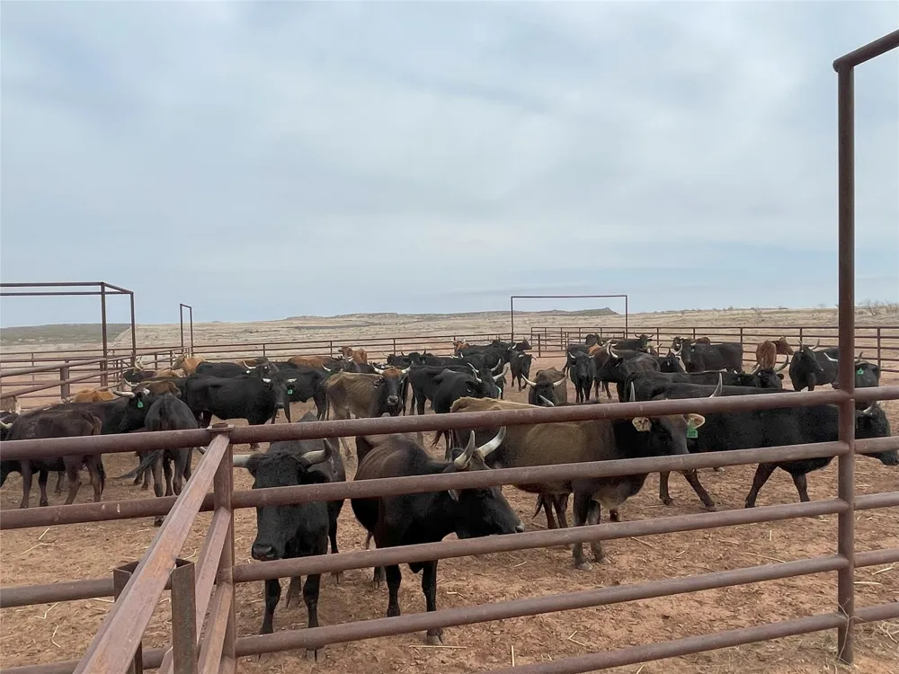 906 CR 235 Aspermont, TX 79502