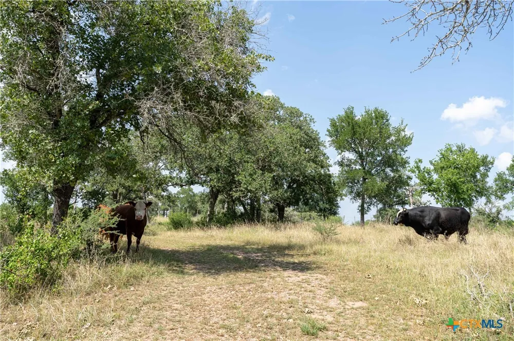 Gravel Pit Road Seguin, TX 78155