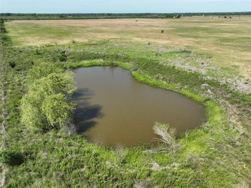 14177 E Ueckert Road Bellville, TX 77418