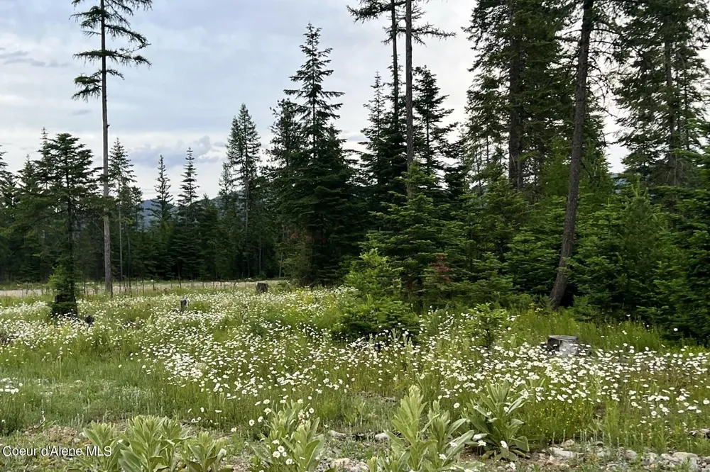 Lot 16 Blk 1 Leonard Loop Athol, ID 83801